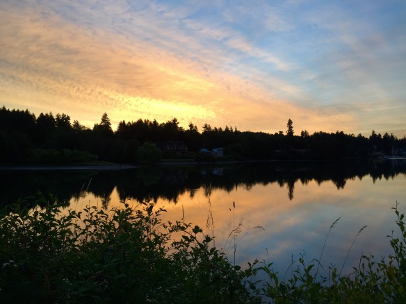 Dawn, Summer Solstice morning on Bainbridge Island, Washington.
